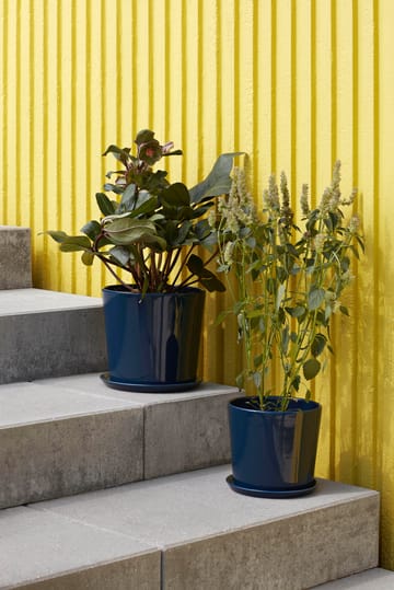Botanical Family donica XL Ø22 cm - Dark blue - HAY
