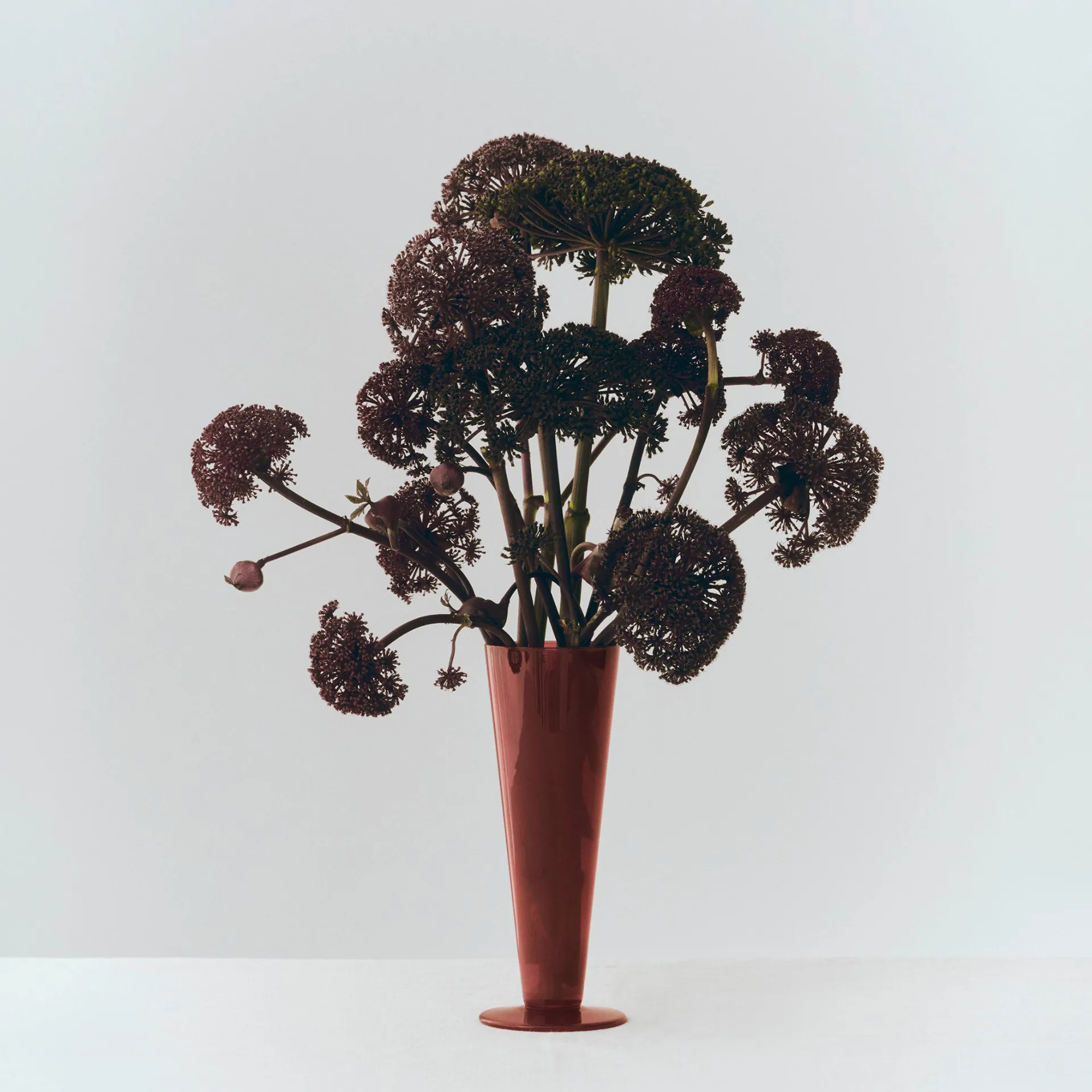 Conical wazon, Rose-dark red, medium HAY