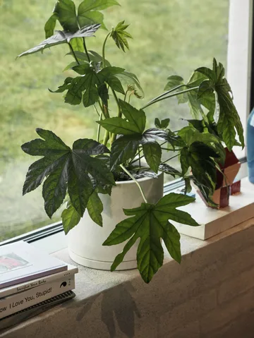 HAY Plant Pot with saucer doniczka L Ø19 cm - Biały - HAY