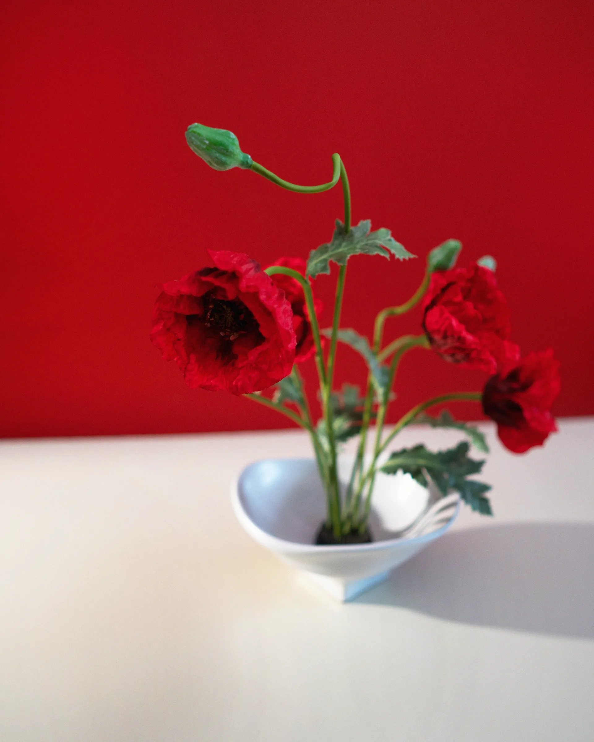 Miska Nami large 20x23 cm, White Hein Studio