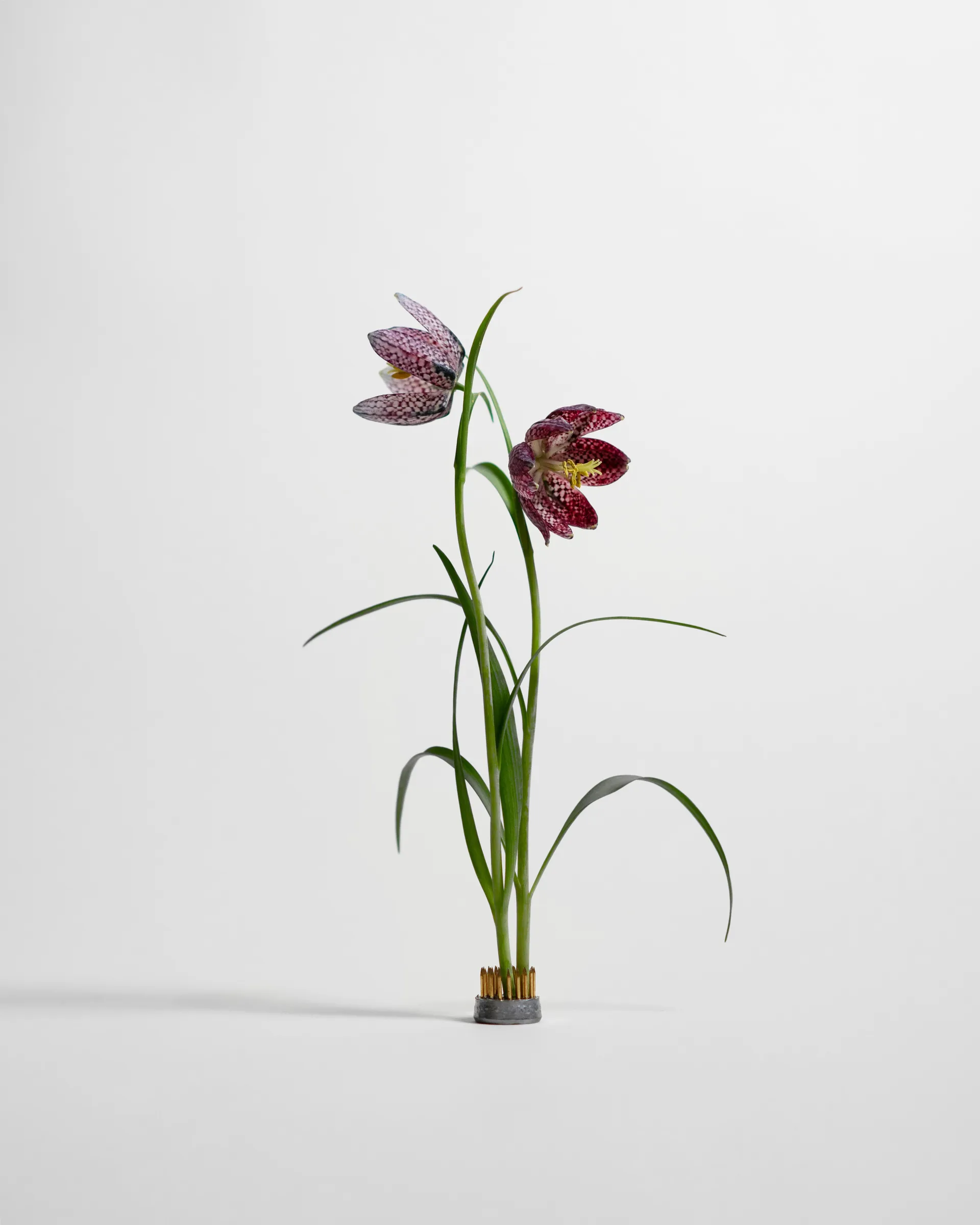 Wazon Kenzan, Ø2,3 cm Hein Studio