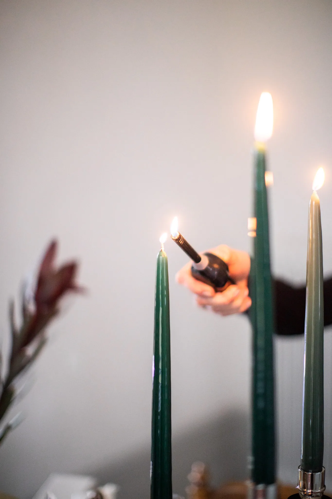 Świece stołowe 30 cm 6 szt., Starozielone Hilke Collection