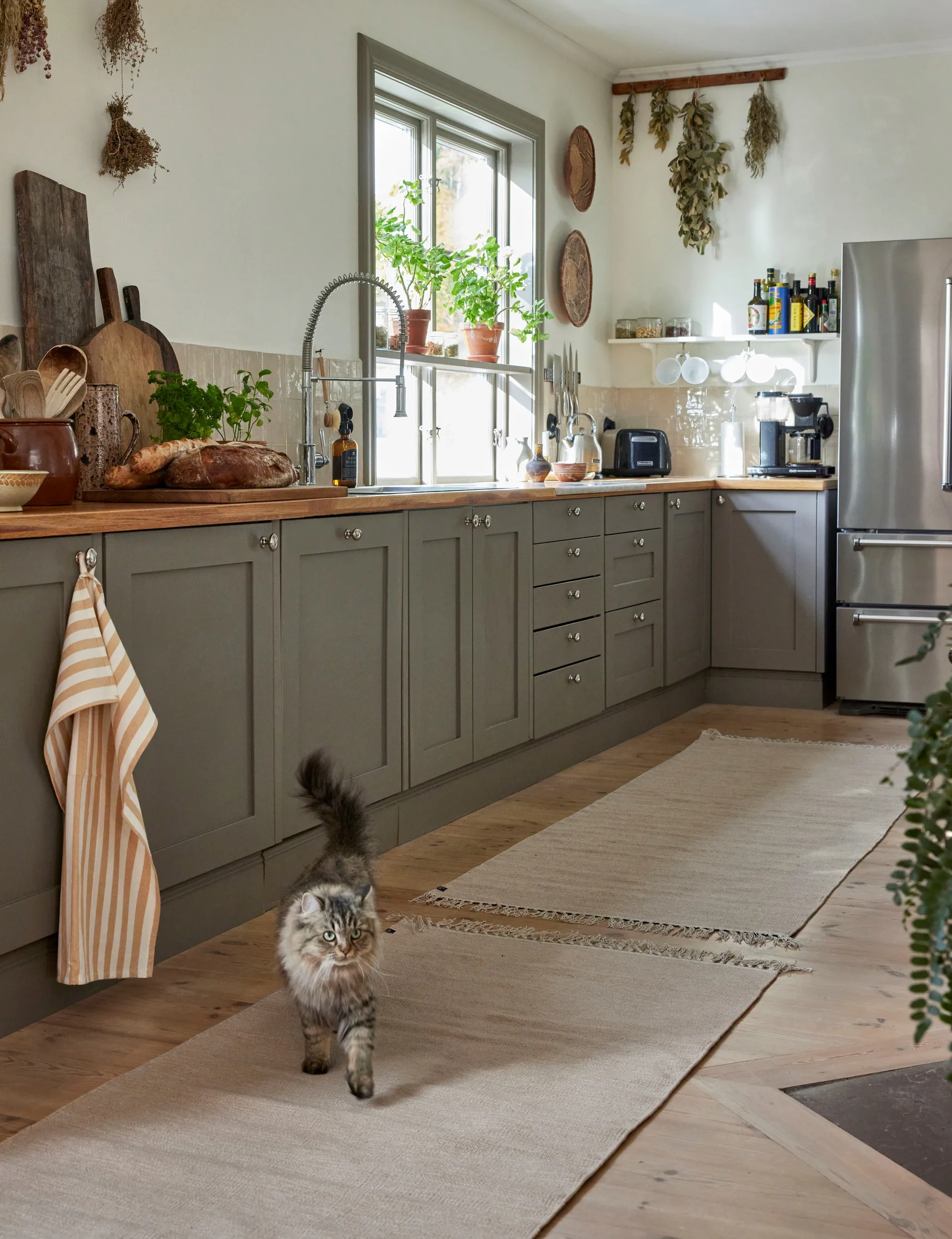 Ścierka kuchenna Bretagne 50x70 cm, 2 szt., Wheat Himla