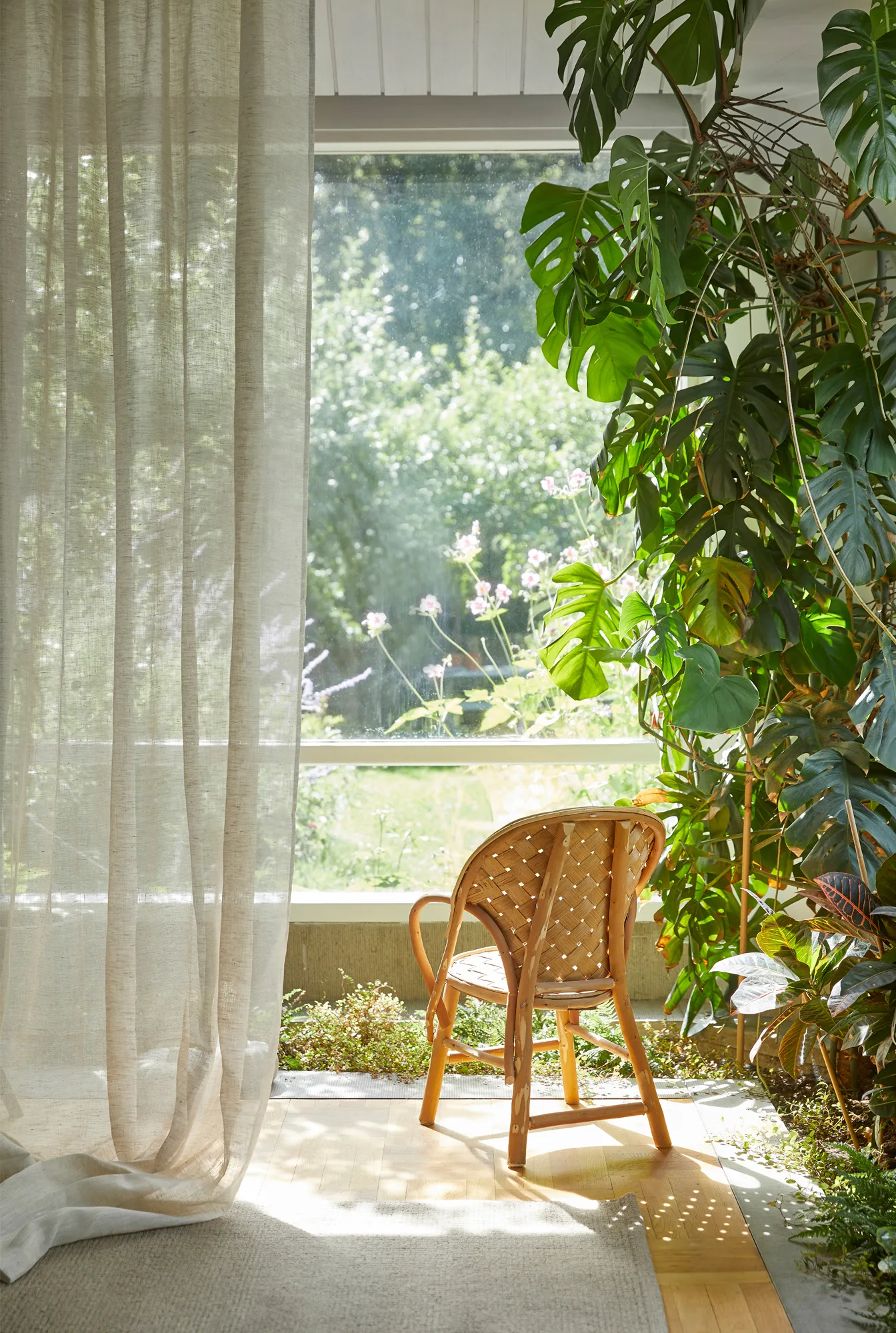 Zasłona Dalsland z taśmą oraz z tunelem, owsiany Himla