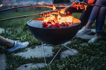 Palenisko BOWL 57 - Czarno-srebrny, stelaż typu gwiazda - Höfats