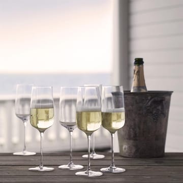 Kieliszek do szampana Bouquet 6-pak - 29 cl - Holmegaard