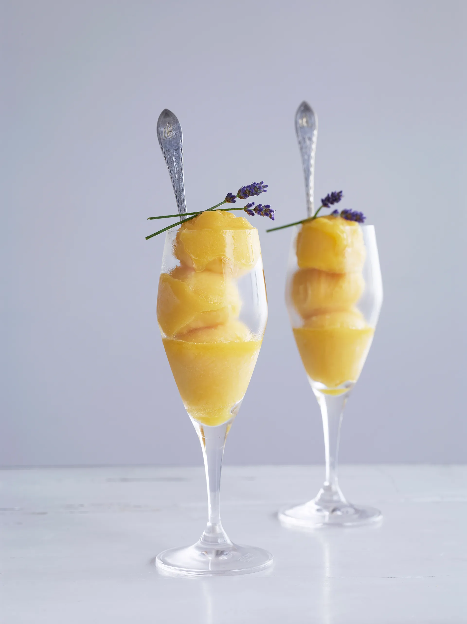 Kieliszek do szampana Perfection 230 ml 6-pak, Przezroczysty Holmegaard