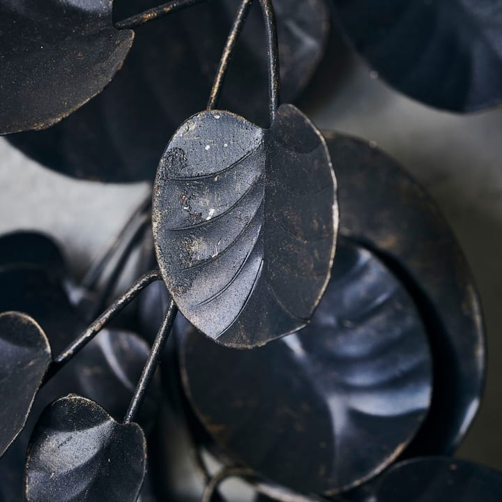 Eucalyptus Wieniec bożonarodzeniowy, Czarny House Doctor