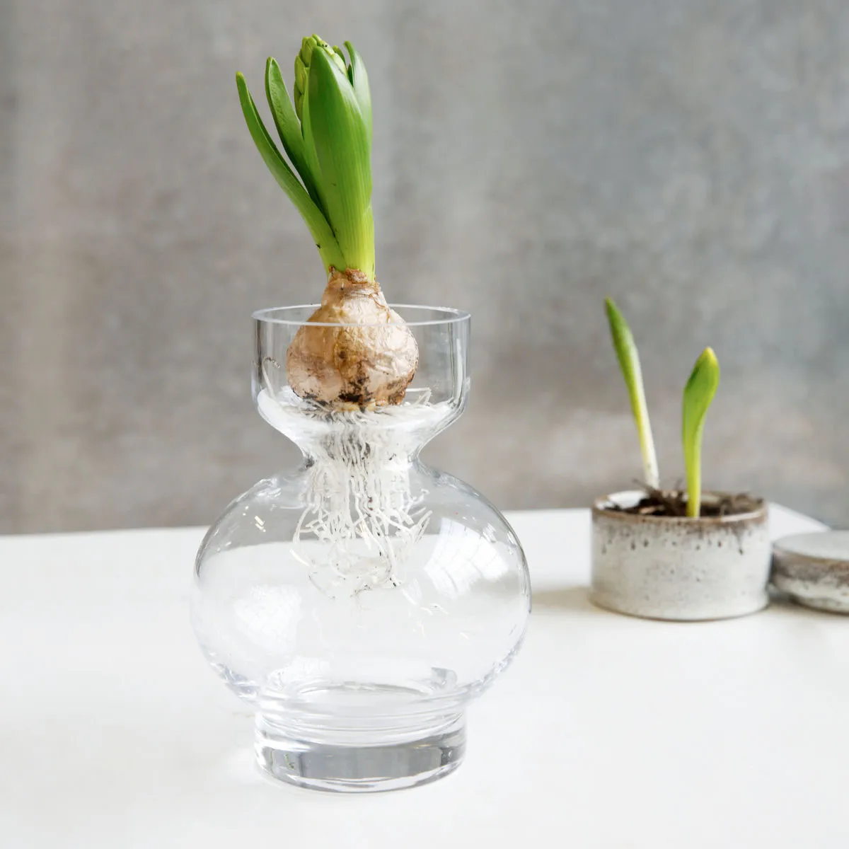 Szklany wazon Lowa, lowa House Doctor