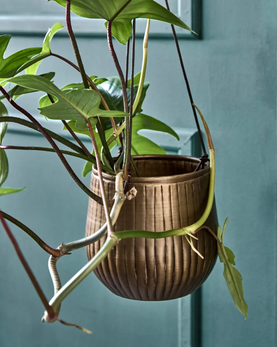 Zestaw wiszących doniczek 2 szt., Złoty House Doctor