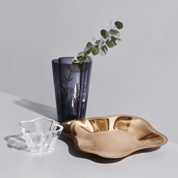 Alvar Aalto miska 75 mm - przezroczysty - Iittala