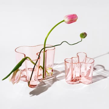 Alvar Aalto wazon łososiowa róża - 160 mm - Iittala