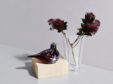Alvar Aalto wazon, Savoy clear - 220 mm - Iittala