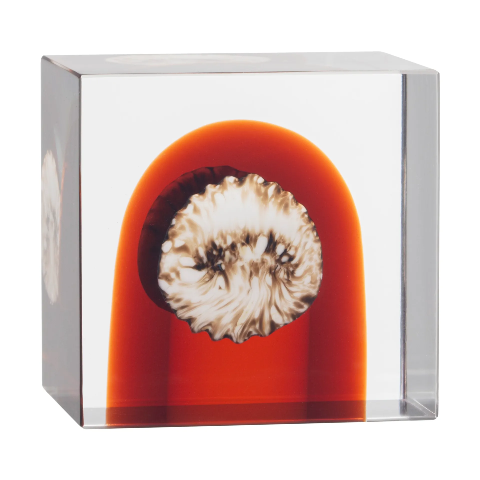 Iittala annual cube, 2026 Iittala