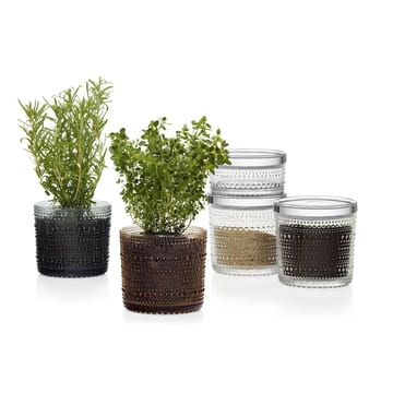 Kastehelmi pojemnik ozdobny, duży - przezroczysty - Iittala