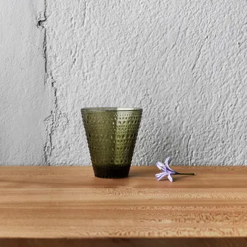 Kastehelmi szklanki 300 ml, 2‑pak - Zielony mech - Iittala