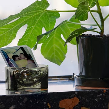Kuru miska ze szkła 6x13 cm - moss green - Iittala