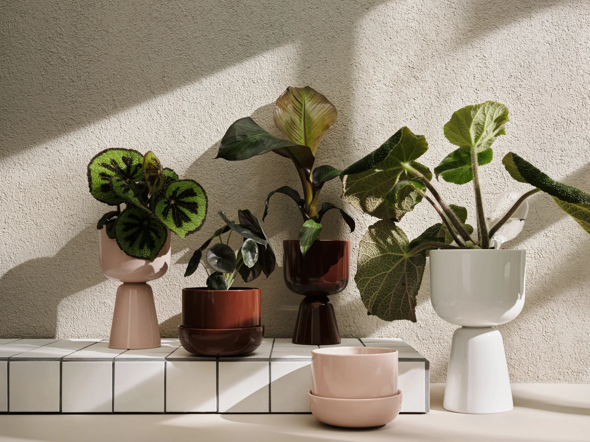 Nappula doniczka Ø19 cm w32 cm, Biały Iittala