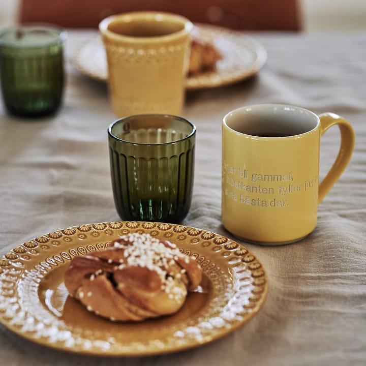 Szklanki Raami 26 cl 2 szt., Zielony mech Iittala