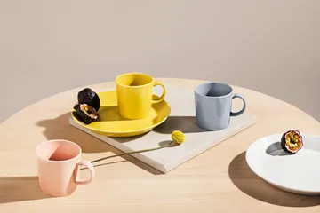 Teema kubek 300 ml - Perłowy szary - Iittala