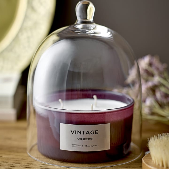 Świeca zapachowa Vintage Cedarwood, 250 g Illume x Bloomingville