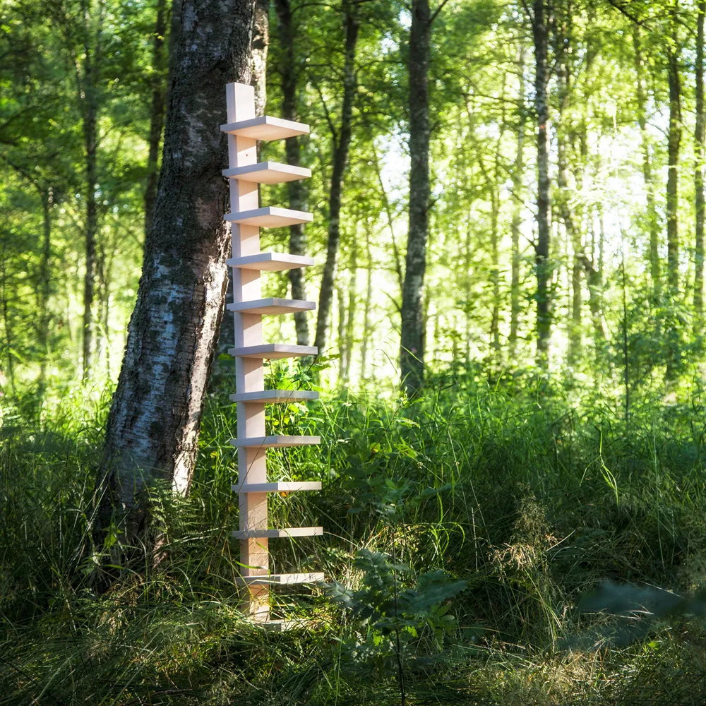 Półka ścienna Pilaster, Brzoza lakierowana naturalnie Källemo