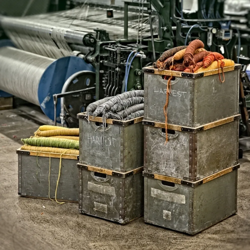 Harvest dywan, Beżowo-brązowy 300x200 cm Kasthall