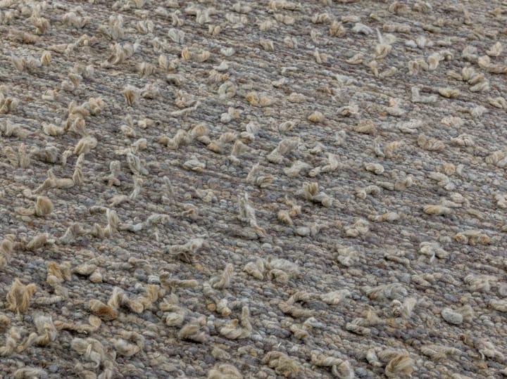 Dywan Woolly, Jasnoszary 200x300 cm Kateha