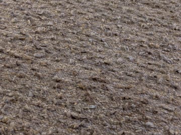 Dywan Woolly - Light brown 200x300 cmjasnobrązowy 200x300 cm - Kateha