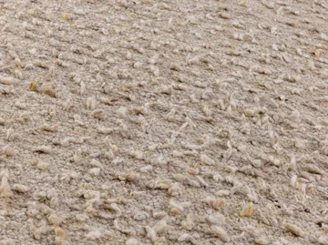 Dywan Woolly - White, 200x300 cm - Kateha