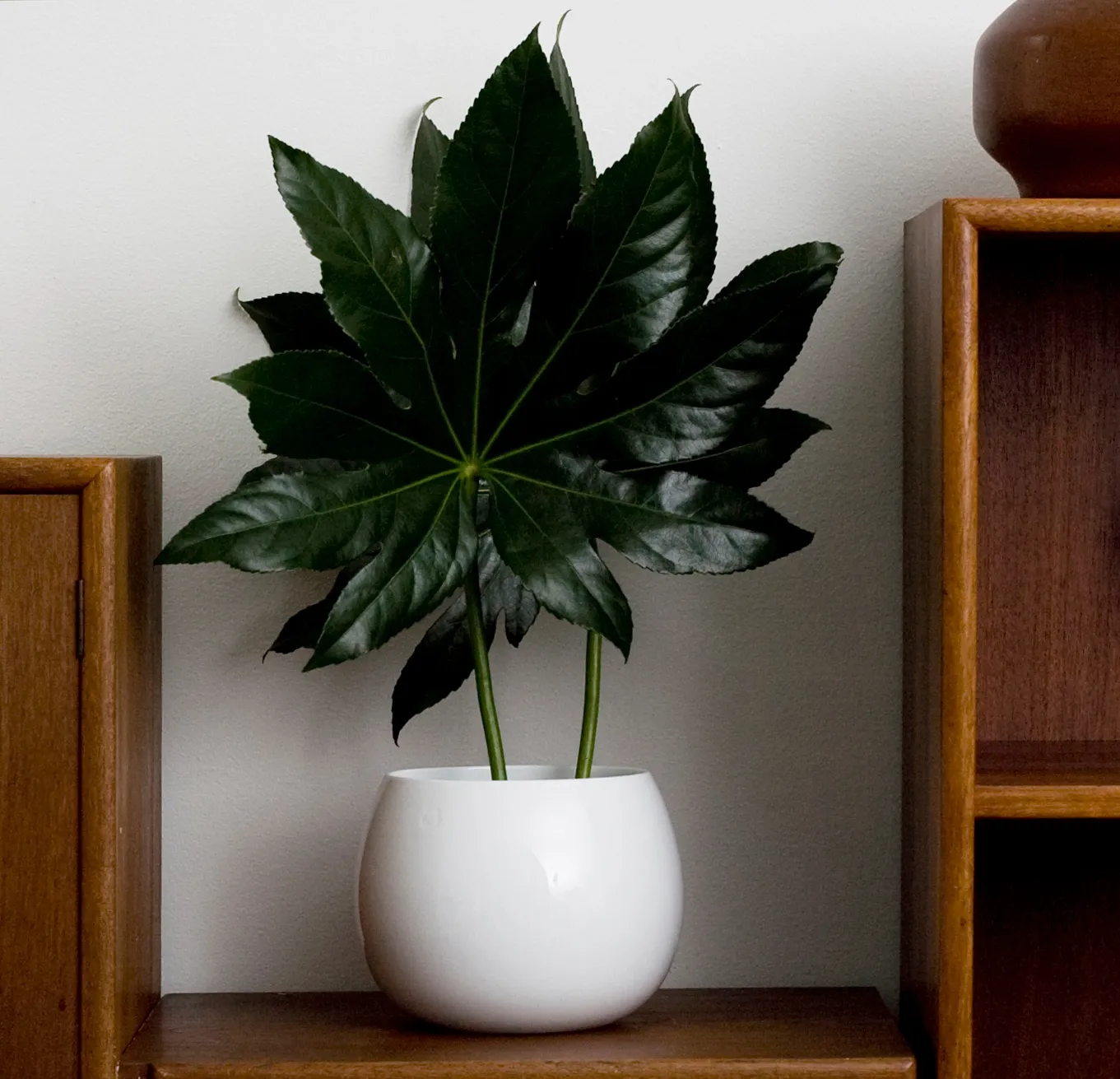 DROP miska Ø20,2 cm, White Kay Bojesen