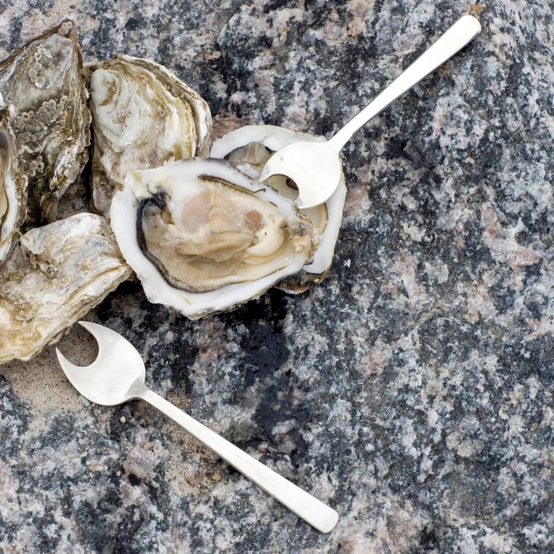 Sztućce do owoców morza Grand Prix 8 sztuk, Matte steel Kay Bojesen