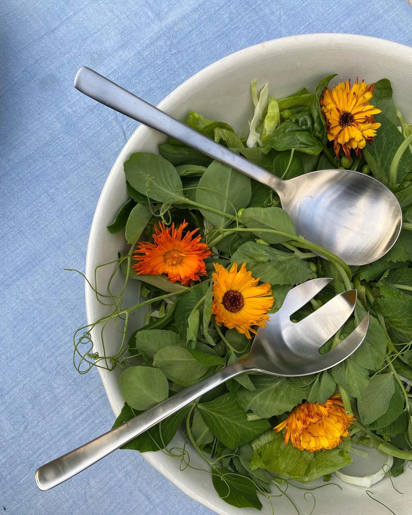 Sztućce do sałatek Grand Prix 23,5 cm 2 części, Matte steel Kay Bojesen