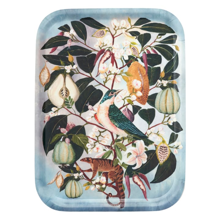 Taca na owoce 20x27 cm, Multi Klippan Yllefabrik