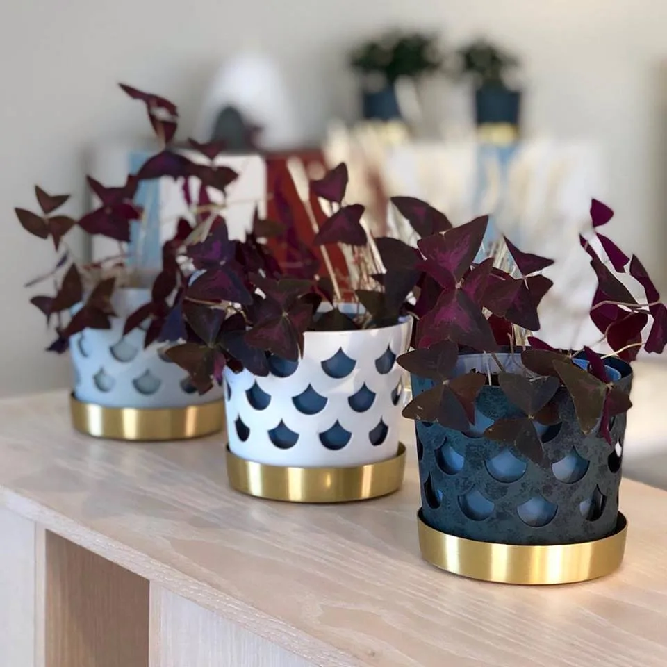 Doniczka Trio, mała Ø12 cm, Biały KLONG