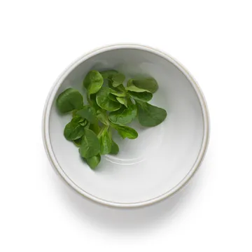 Tavola miska do ciasta 0,5 L 2-pak - Biały - Knabstrup Keramik