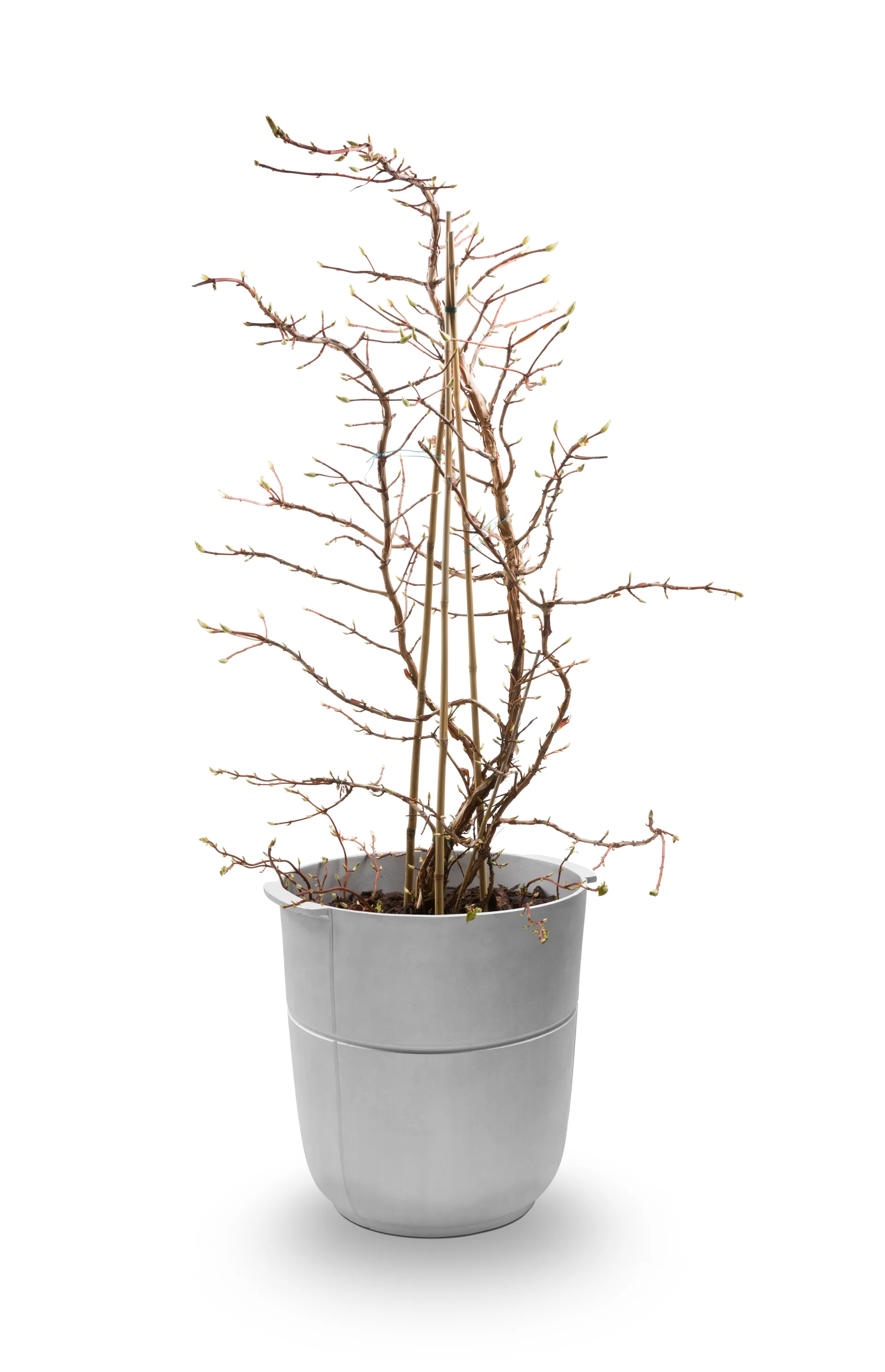 Donica Linea nr 1 wysoka, Aluminium KORBO