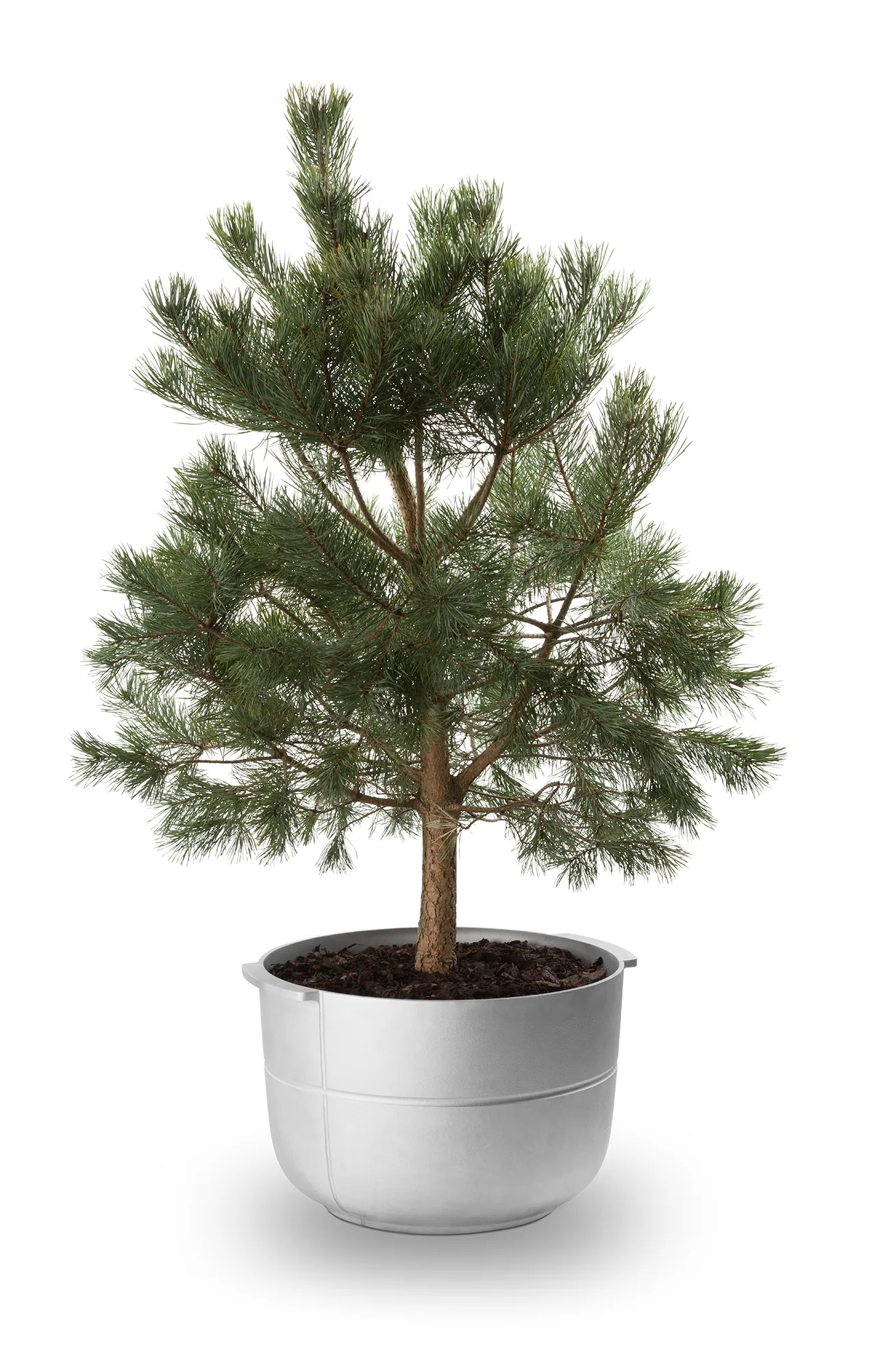 Donica Linea nr 2 medium, Aluminium KORBO