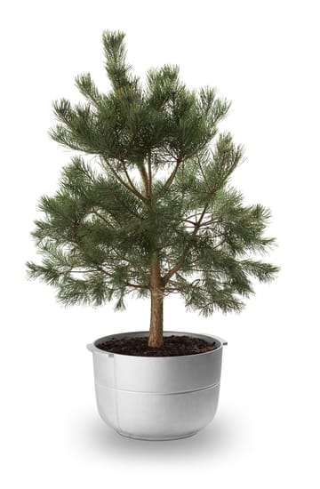 Donica Linea nr 2 medium - Aluminium - KORBO