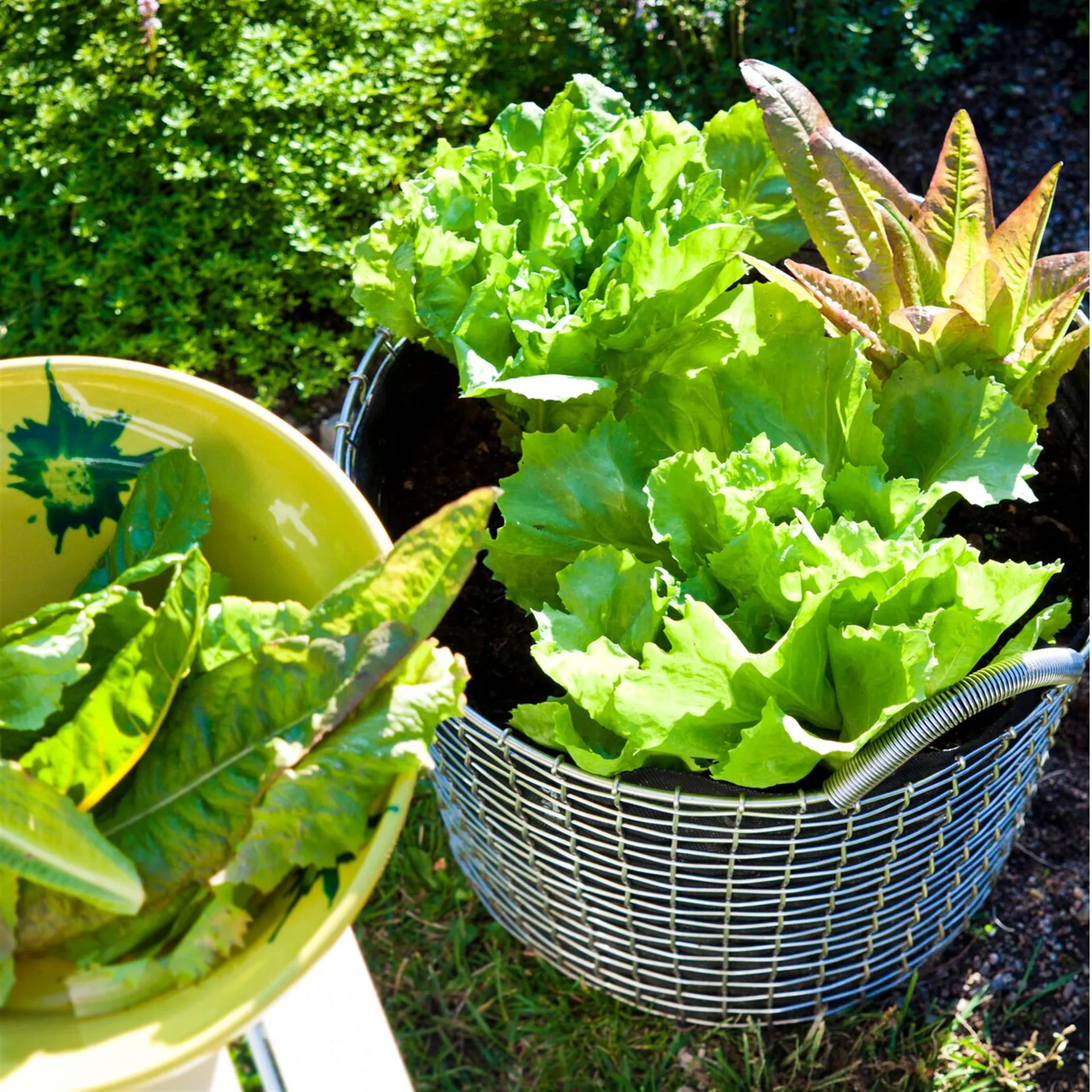 Korbo bin 24, stal galwanizowana KORBO