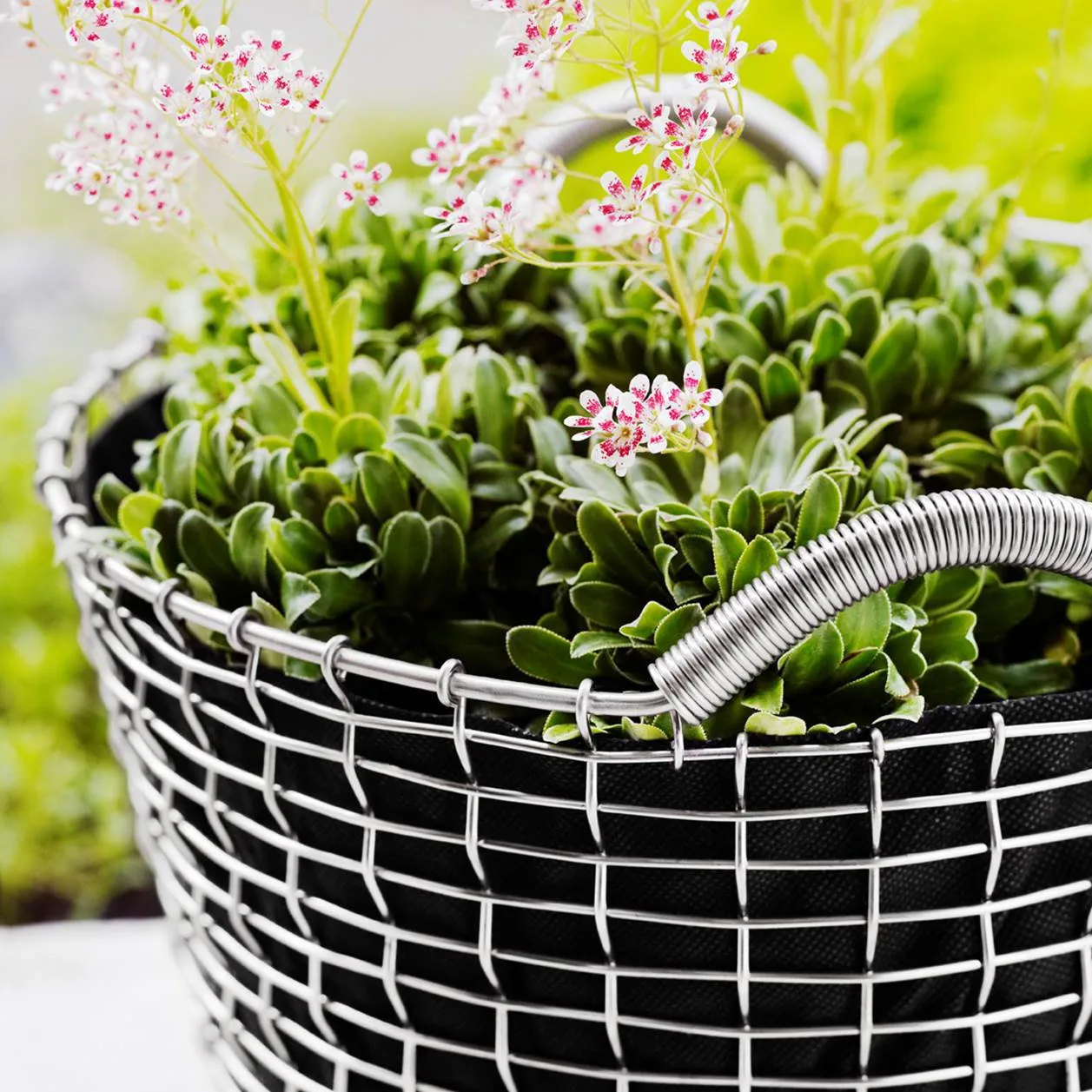 Korbo Classic 50, stal kwasoodporna KORBO