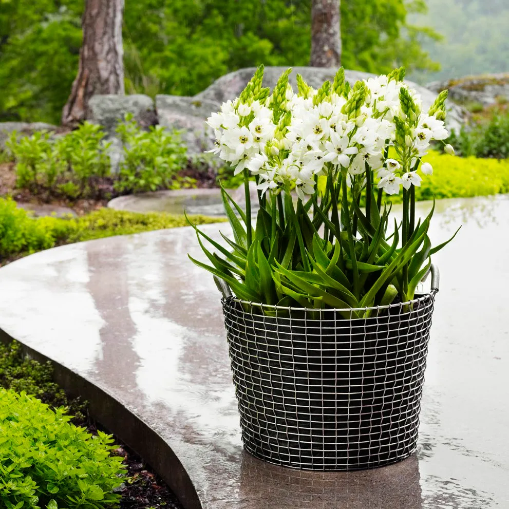 Korbo Classic 50, stal kwasoodporna KORBO