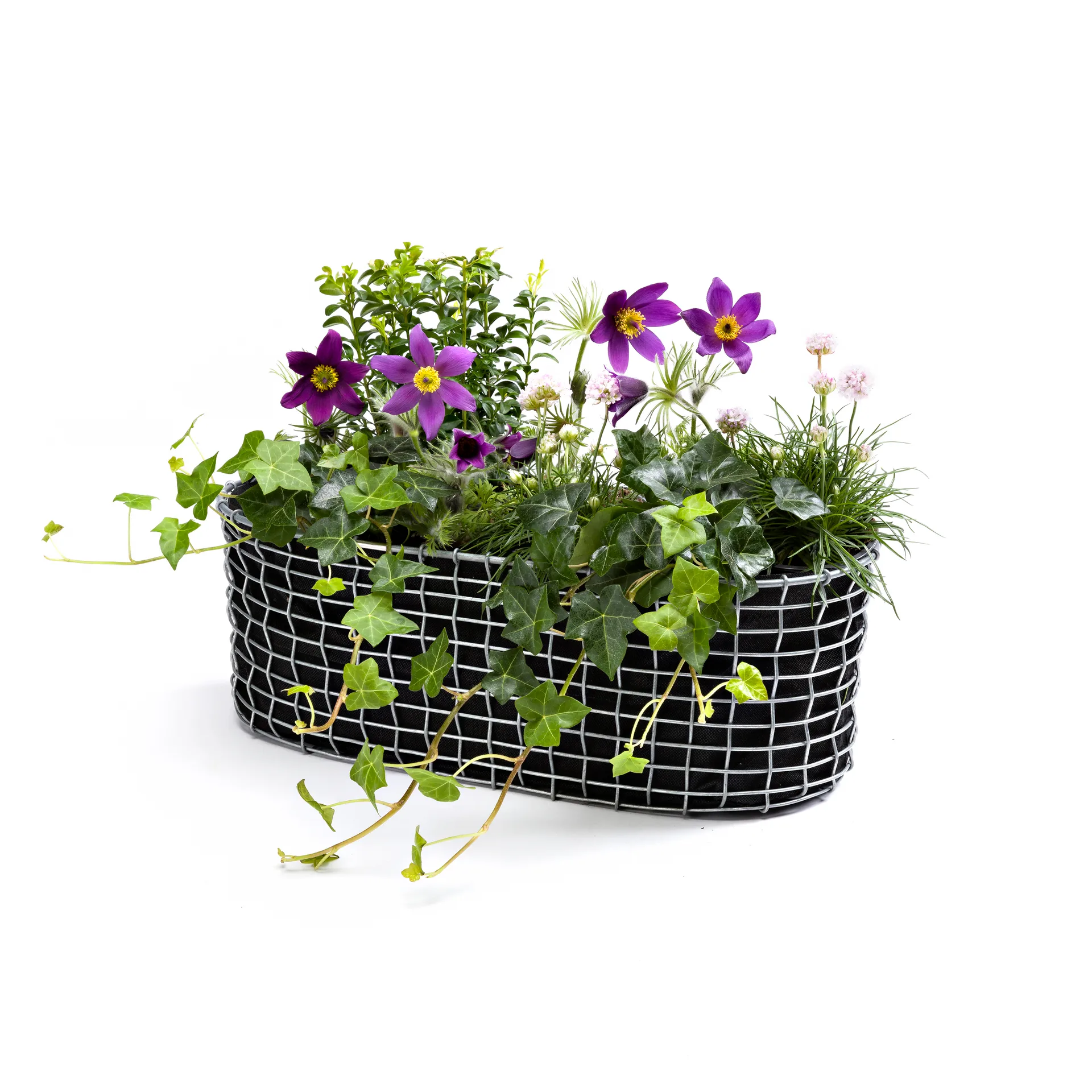 Kosz balkonowy Korbo, Stal kwasoodporna KORBO