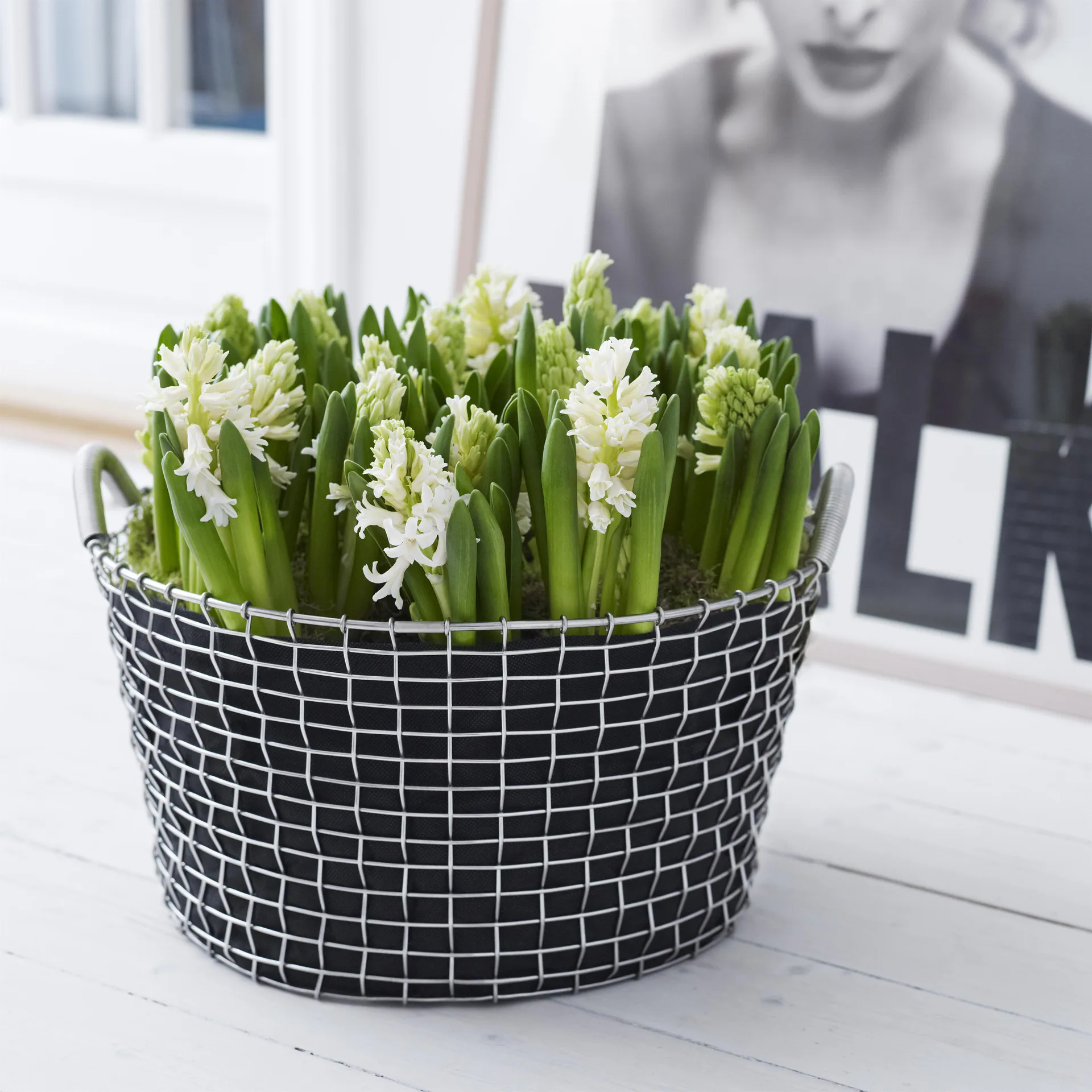 Kosz Korbo Classic 35, stal galwanizowana KORBO