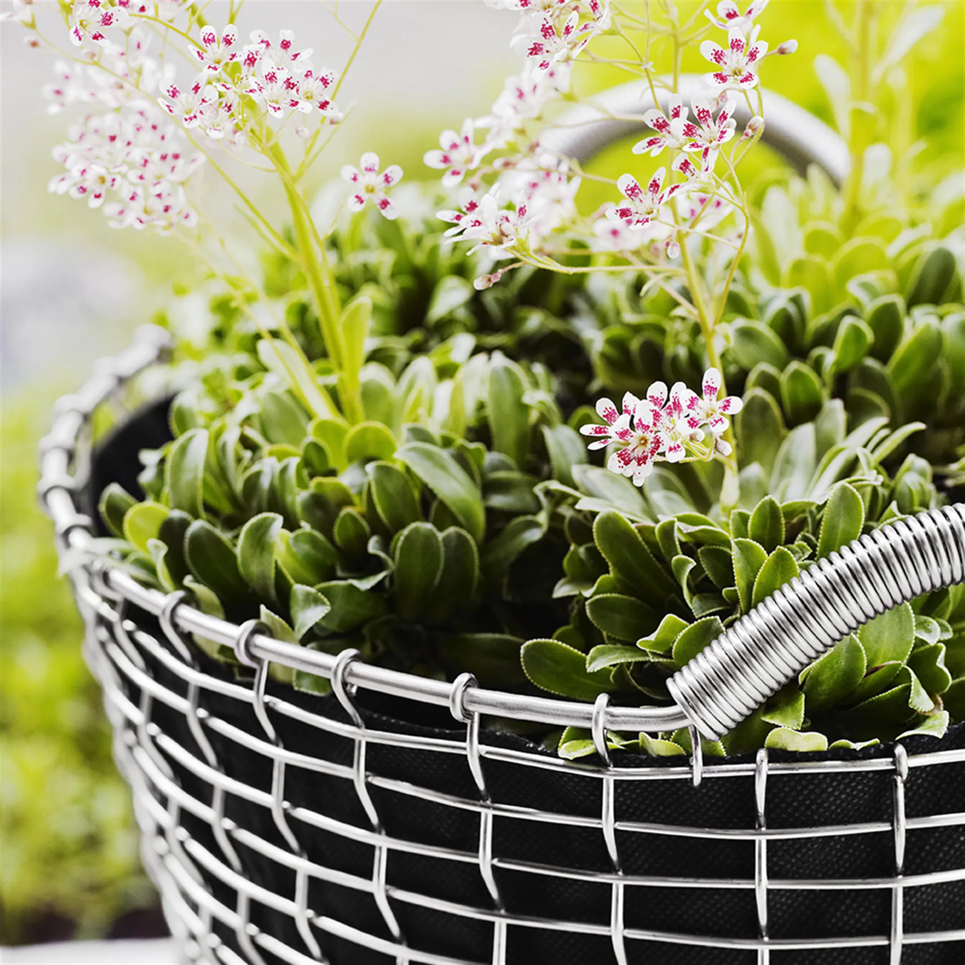 Kosz Korbo Classic 35, stal kwasoodporna KORBO