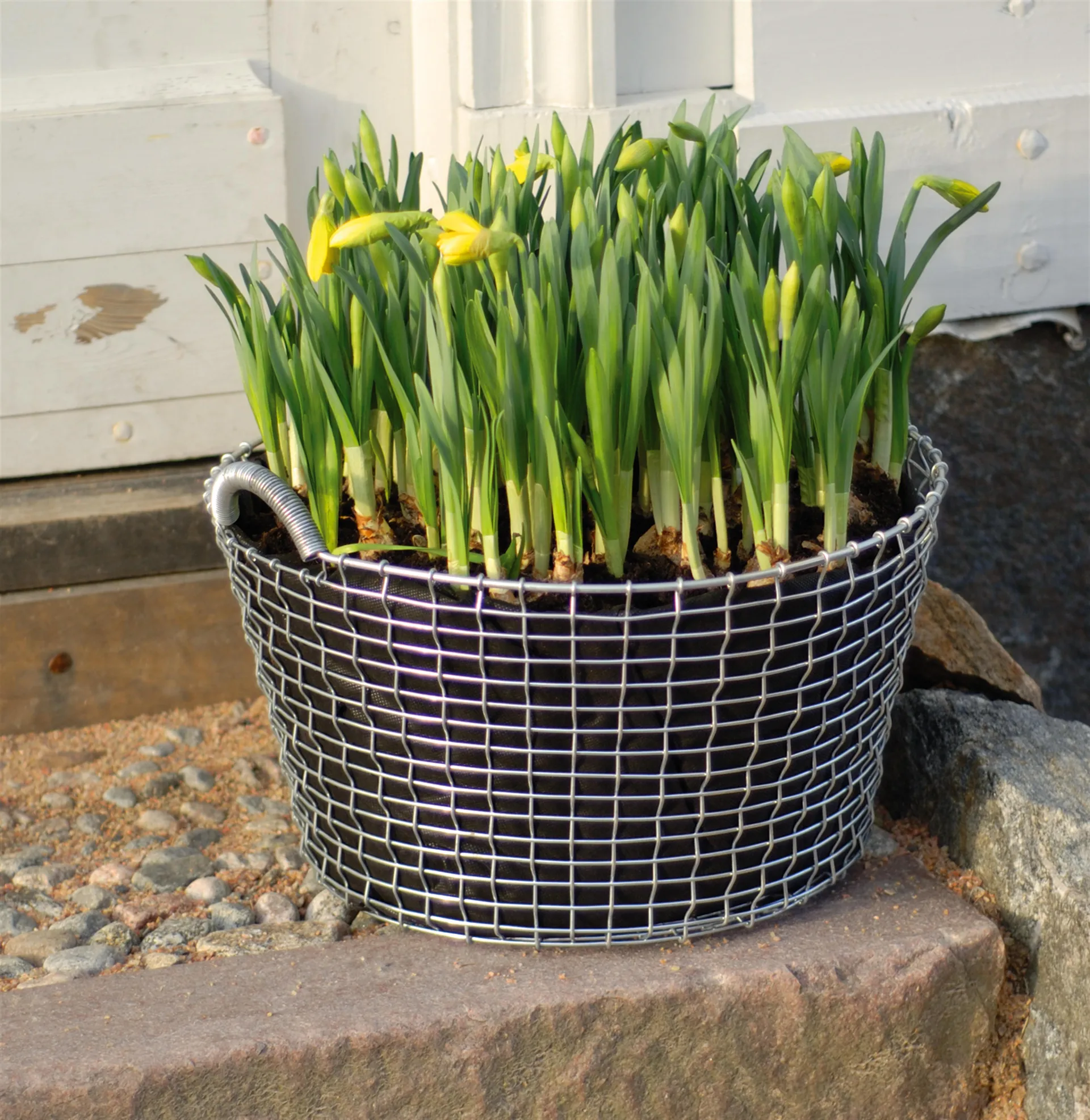 Worek do sadzenia 3-pak do Korbokorg, 24 l KORBO