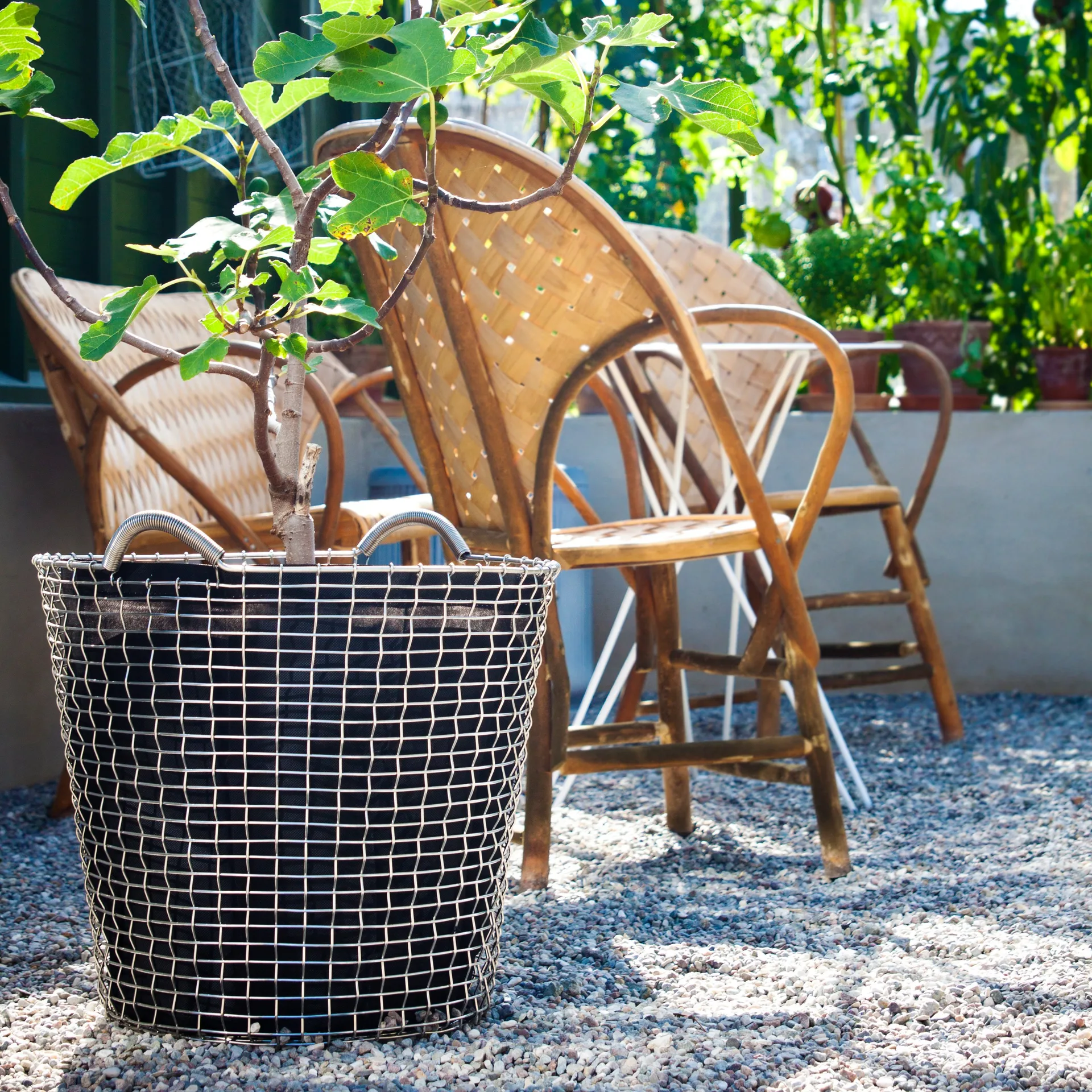 Worek do sadzenia 3-pak do Korbokorg, 65 l KORBO