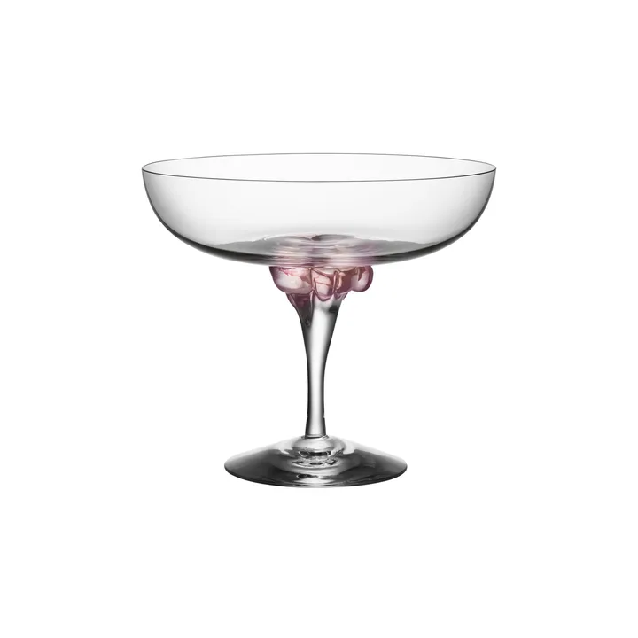 Sugar Dandy kieliszek coupe 320 ml - Różowy - Kosta Boda