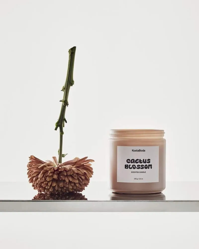 Świeca zapachowa Mind, Cactus Blossom, 330 g Kosta Boda