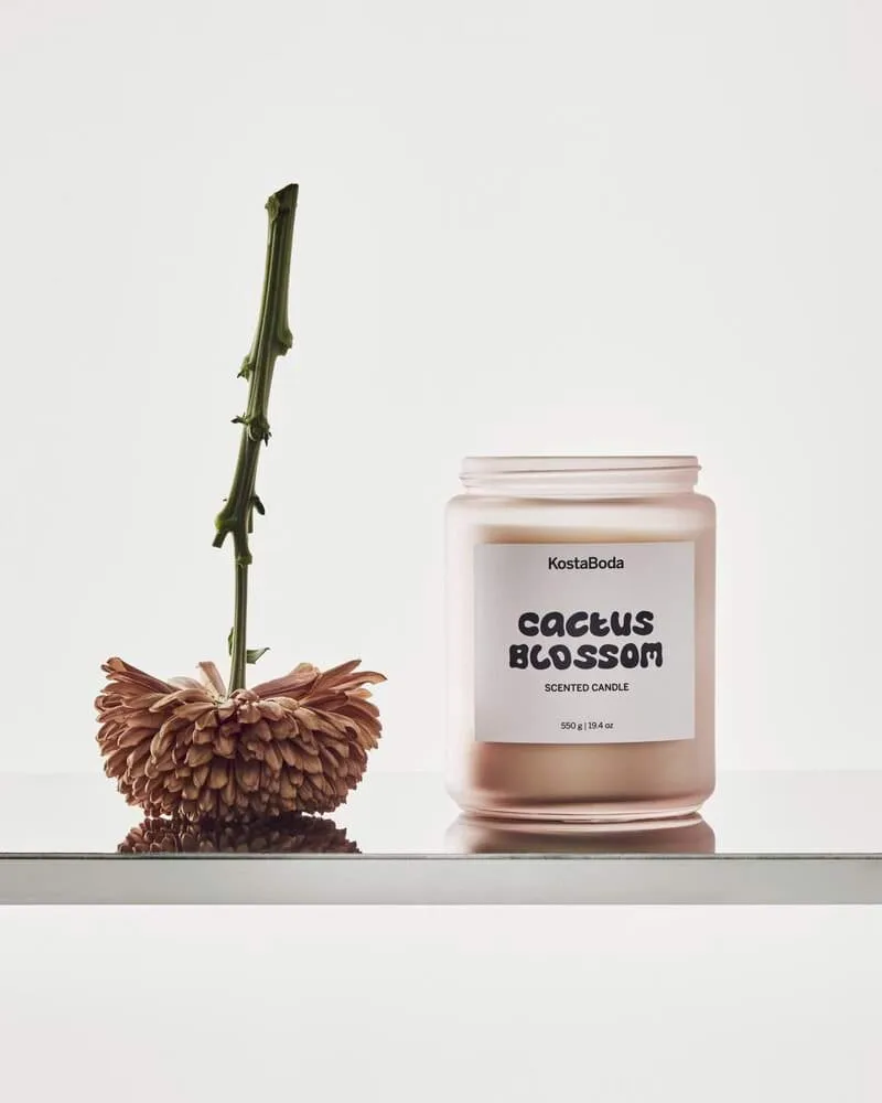 Świeca zapachowa Mind, Cactus Blossom, 550 g Kosta Boda